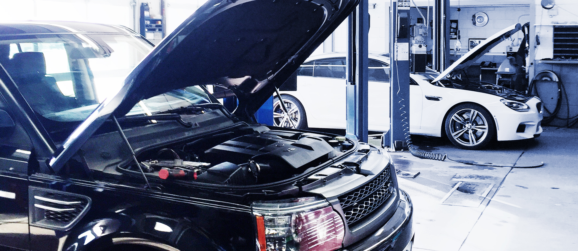 Hi Tech Automotive >> Hi Tech Import Auto Repair Services Hi Tech Import Automotive Hi Tech Automotive >> Hi Tech Import Auto Repair Services Hi Tech Import Automotive